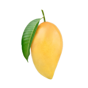 Sindhri